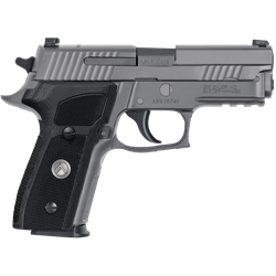 229R-9-LEGION SIG P229 LEGION 9MM 3.9" GRY 10RD