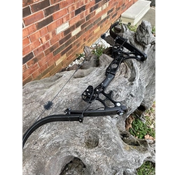 CUSTOM COLOR G-REX BOW